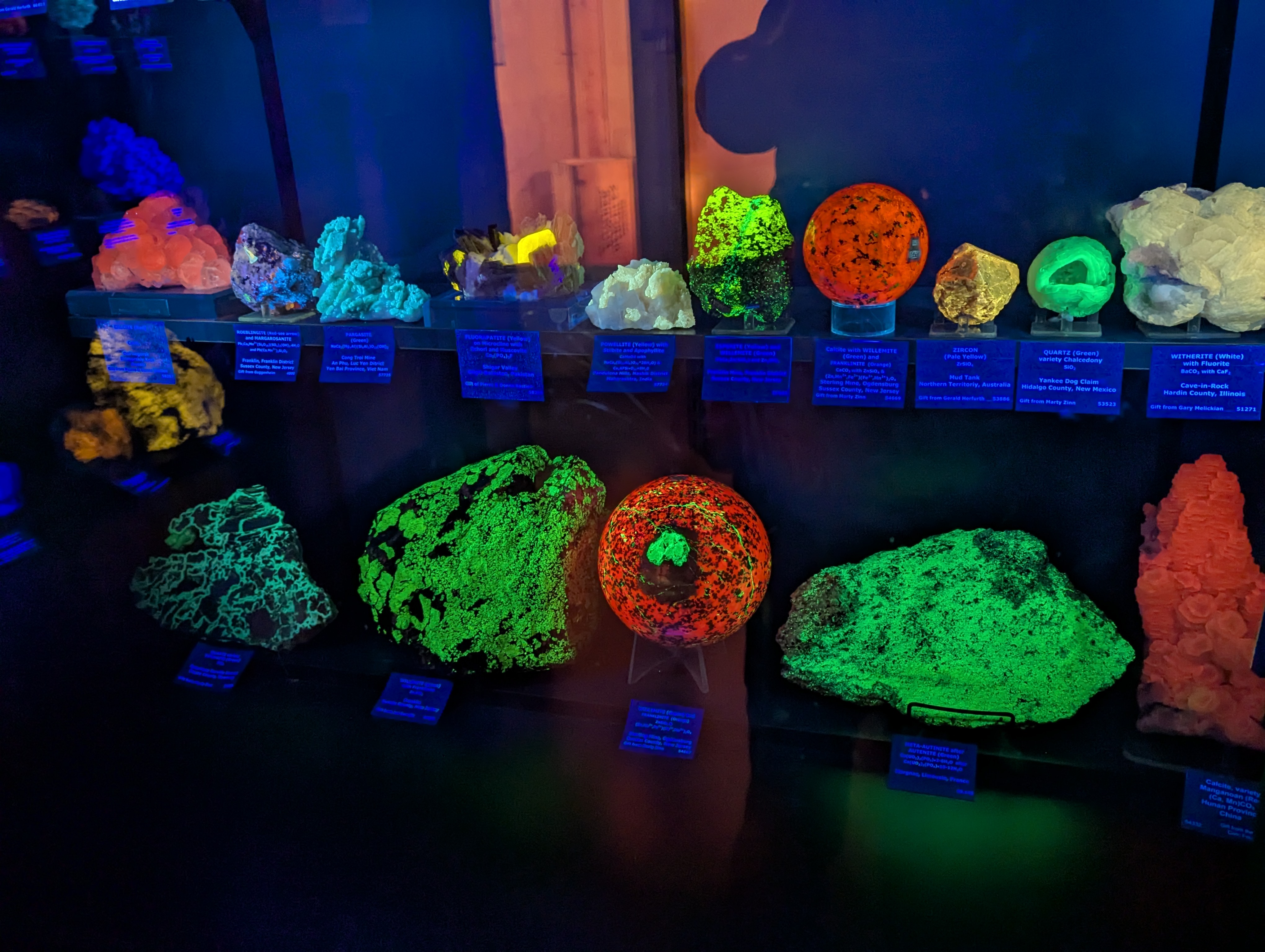 Colorado School of Mines, Geology Museum